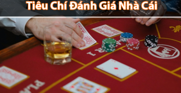 tiêu chí chọn web cá độ bóng đá